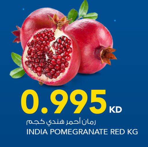 Pomegranate from India available at  ALNASSER HYPERMARKET in Kuwait - Ahmadi Governorate