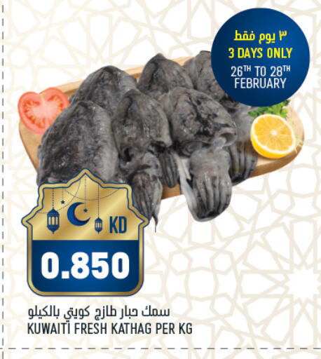 available at Oncost in Kuwait - Jahra Governorate