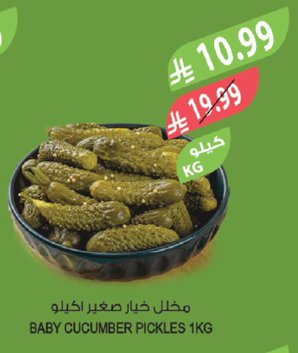 Cucumber available at المزرعة in مملكة العربية السعودية, السعودية, سعودية - الخبر‎