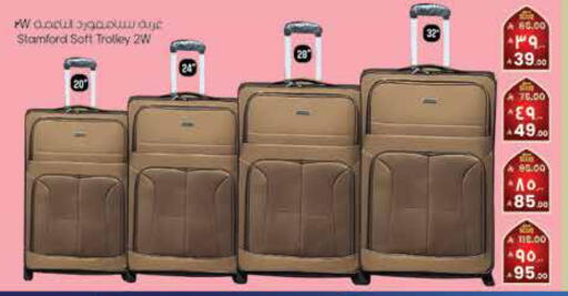 available at City Flower in KSA, Saudi Arabia, Saudi - Sakaka