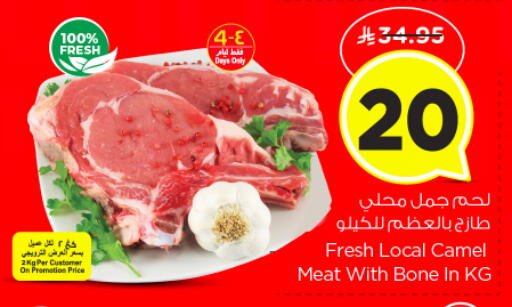 available at نستو in مملكة العربية السعودية, السعودية, سعودية - الرياض