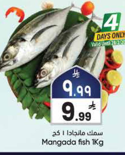 available at City Flower in KSA, Saudi Arabia, Saudi - Hail