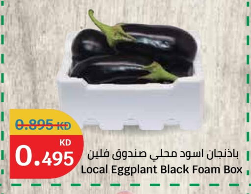 Eggplant available at City Hypermarket in Kuwait - Jahra Governorate