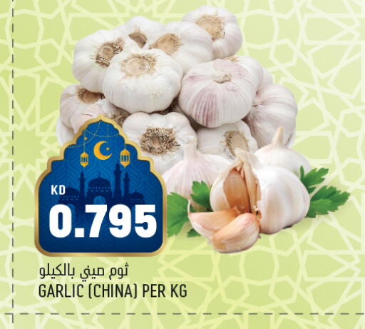 Garlic from China available at Oncost in Kuwait - Ahmadi Governorate