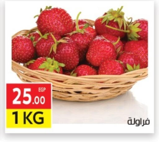 available at المحلاوي ماركت in Egypt - القاهرة