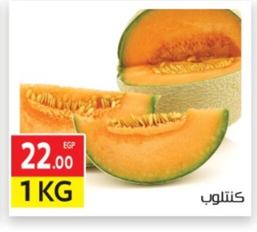 available at المحلاوي ماركت in Egypt - القاهرة