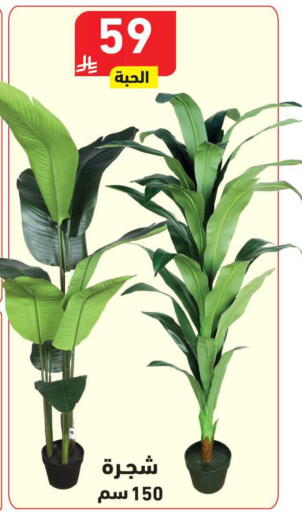 available at هايبر هوم in مملكة العربية السعودية, السعودية, سعودية - جازان