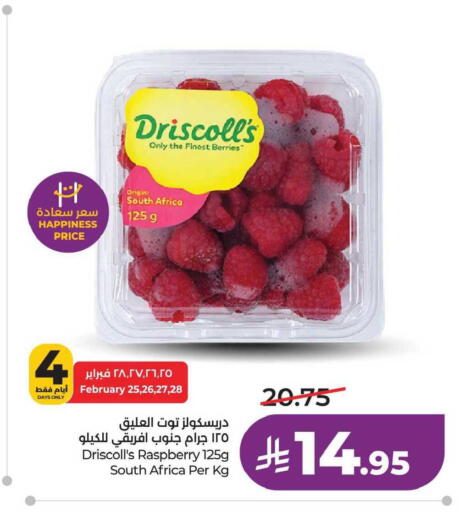Raspberry from South Africa available at لولو هايبرماركت in مملكة العربية السعودية, السعودية, سعودية - سيهات
