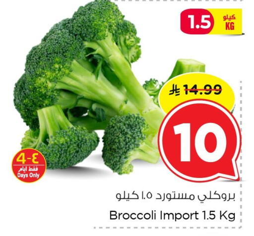 Broccoli available at نستو in مملكة العربية السعودية, السعودية, سعودية - الخبر‎