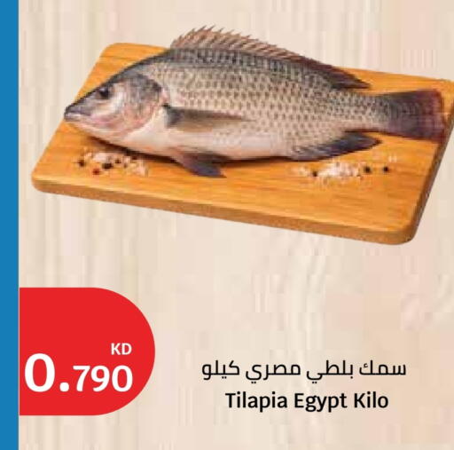 available at City Hypermarket in Kuwait - Ahmadi Governorate