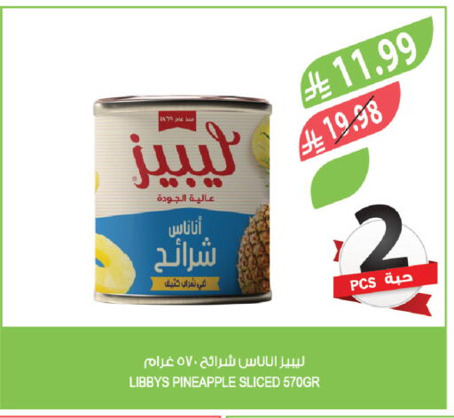 Pineapple available at Farm  in KSA, Saudi Arabia, Saudi - Al Bahah