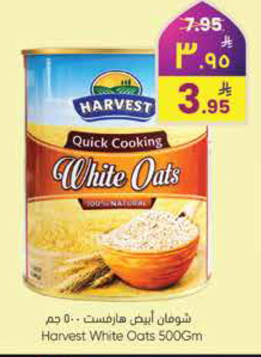 available at City Flower in KSA, Saudi Arabia, Saudi - Jubail