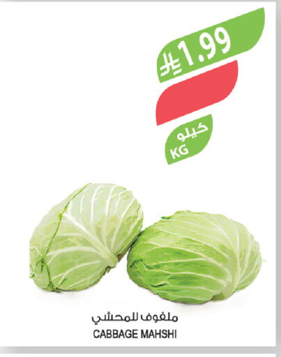Cabbage available at المزرعة in مملكة العربية السعودية, السعودية, سعودية - الخفجي