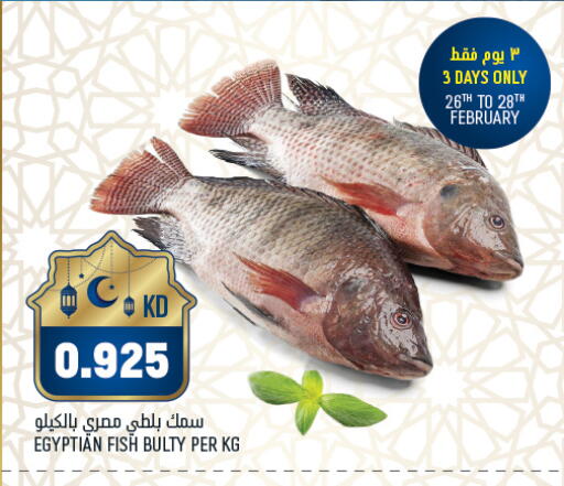 available at غلف مارت in الكويت - محافظة الجهراء