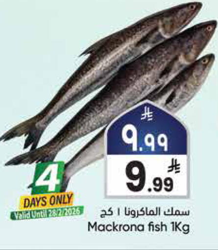 available at City Flower in KSA, Saudi Arabia, Saudi - Najran