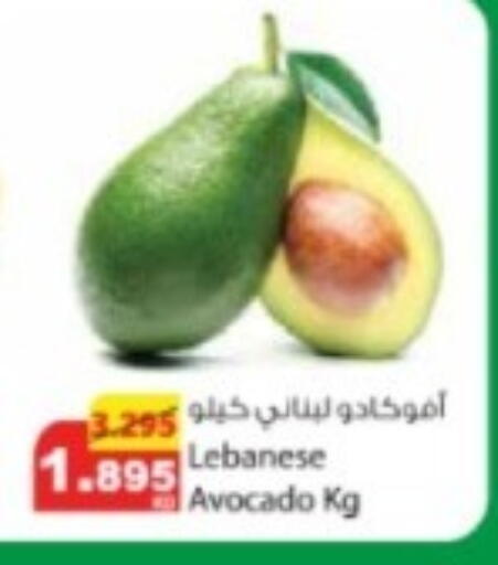Avocado from Lebanon available at Agricultural Food Products Co. in Kuwait - Jahra Governorate