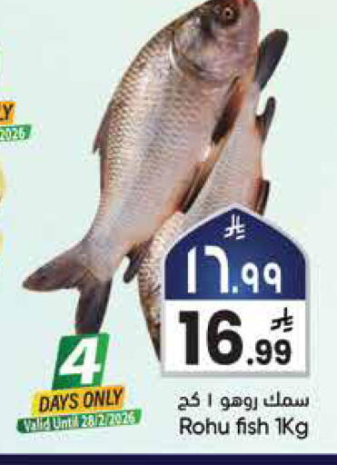 available at City Flower in KSA, Saudi Arabia, Saudi - Hail