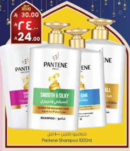 available at City Flower in KSA, Saudi Arabia, Saudi - Sakaka