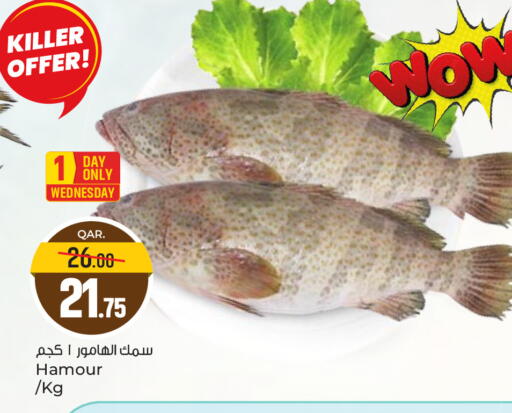 available at باريس هايبرماركت in قطر - الريان