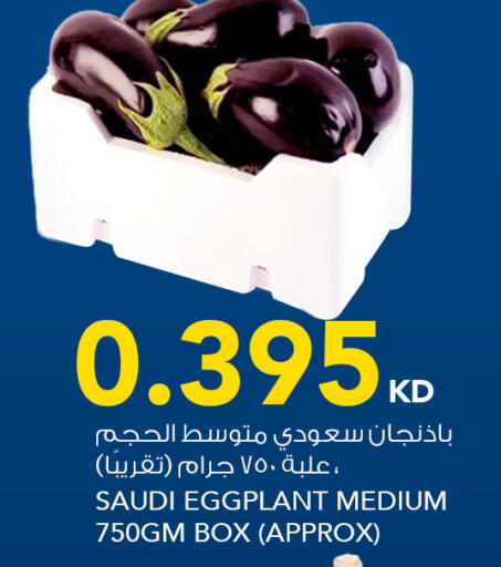 Eggplant from Saudi Arabia available at  ALNASSER HYPERMARKET in Kuwait - Kuwait City
