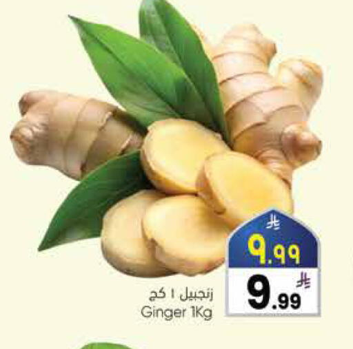 Ginger available at ستي فلاور in مملكة العربية السعودية, السعودية, سعودية - الرياض