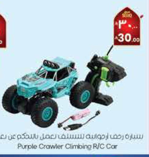 available at City Flower in KSA, Saudi Arabia, Saudi - Sakaka