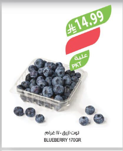 Blueberry BlueBerry available at Farm  in KSA, Saudi Arabia, Saudi - Arar