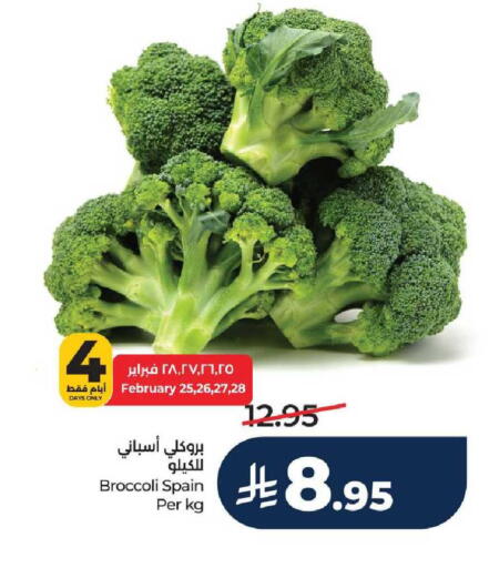 Broccoli from Spain available at لولو هايبرماركت in مملكة العربية السعودية, السعودية, سعودية - مكة المكرمة