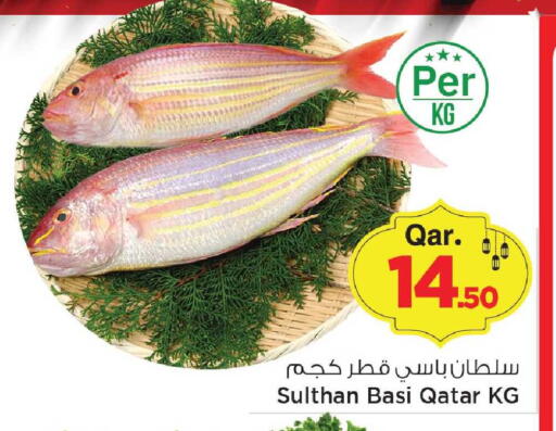 available at Mark & Save  in Qatar - Al Daayen
