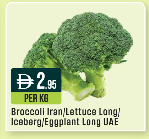 Broccoli Lettuce Eggplant from Iran available at ويست زون سوبرماركت in الإمارات العربية المتحدة , الامارات - أبو ظبي