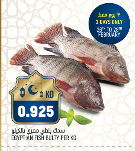 available at Oncost in Kuwait - Jahra Governorate