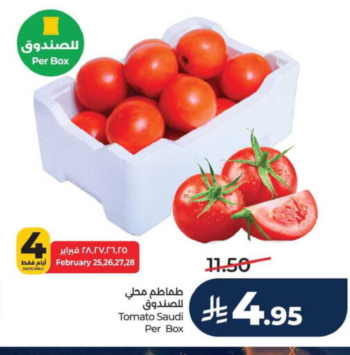 Tomato available at LULU Hypermarket in KSA, Saudi Arabia, Saudi - Dammam