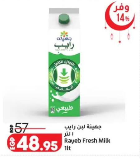 available at لولو هايبرماركت in Egypt - القاهرة