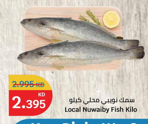 available at City Hypermarket in Kuwait - Jahra Governorate