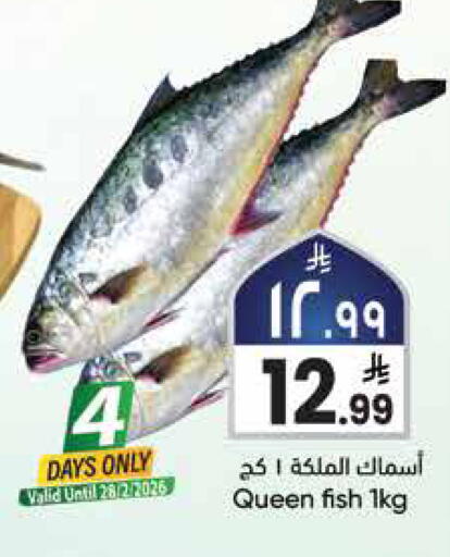 available at City Flower in KSA, Saudi Arabia, Saudi - Najran