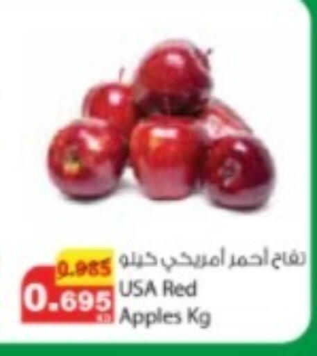 available at Agricultural Food Products Co. in Kuwait - Jahra Governorate
