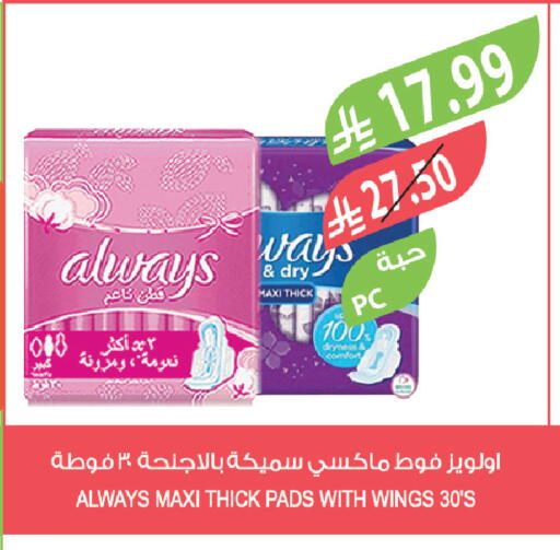 available at المزرعة in مملكة العربية السعودية, السعودية, سعودية - الباحة