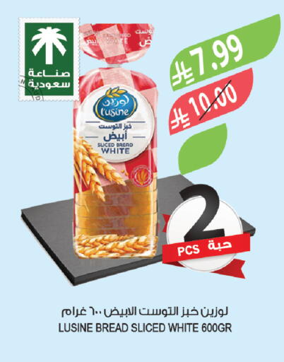 available at المزرعة in مملكة العربية السعودية, السعودية, سعودية - المنطقة الشرقية