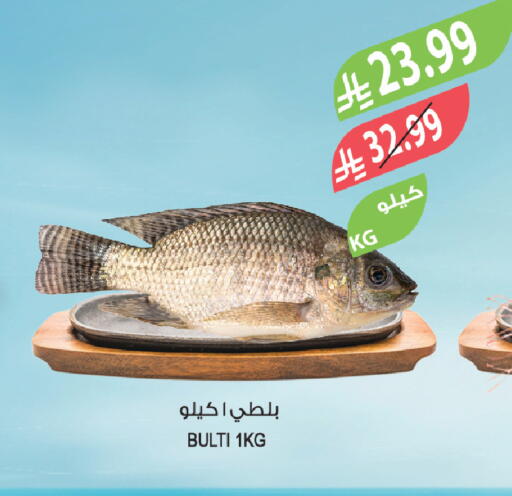 available at المزرعة in مملكة العربية السعودية, السعودية, سعودية - تبوك