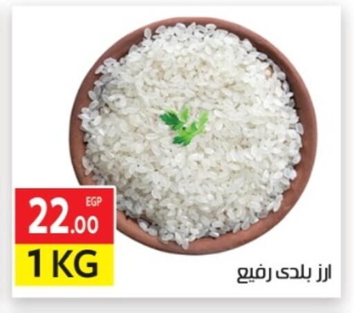 available at المحلاوي ماركت in Egypt - القاهرة