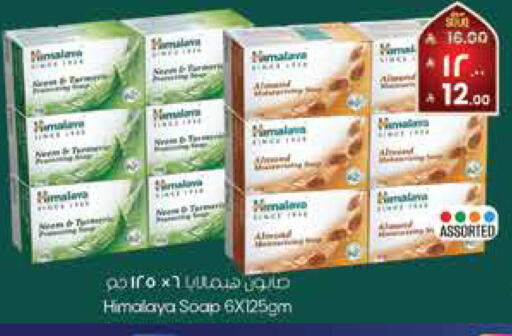 available at ستي فلاور in مملكة العربية السعودية, السعودية, سعودية - حائل‎