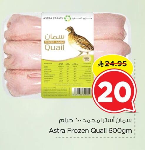 available at Nesto in KSA, Saudi Arabia, Saudi - Al Khobar