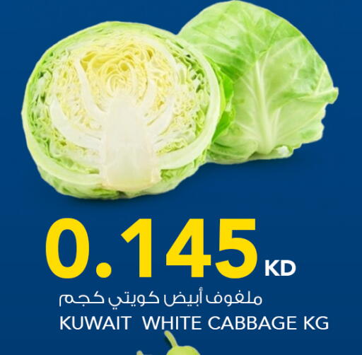 Cabbage from Kuwait available at النصر هايبر ماركت in الكويت - محافظة الأحمدي