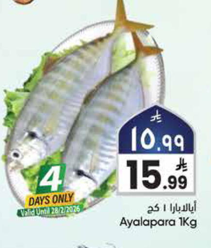 available at City Flower in KSA, Saudi Arabia, Saudi - Hail