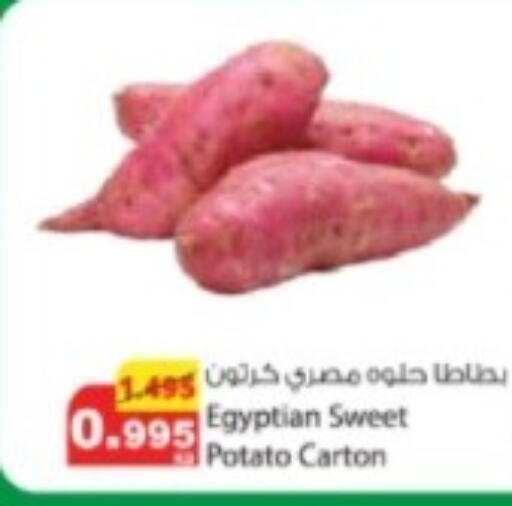 Potato from Egypt available at Agricultural Food Products Co. in Kuwait - Ahmadi Governorate