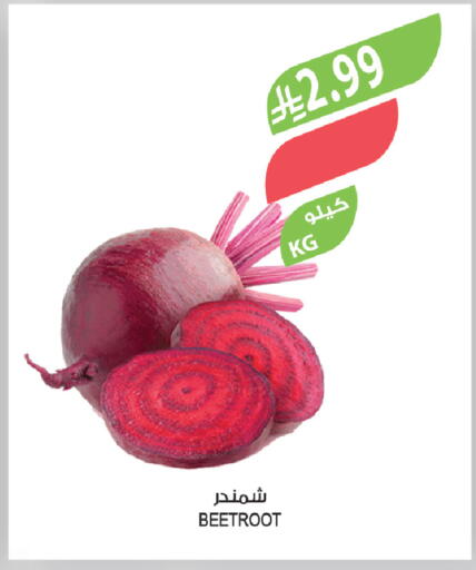 Beetroot available at المزرعة in مملكة العربية السعودية, السعودية, سعودية - عرعر