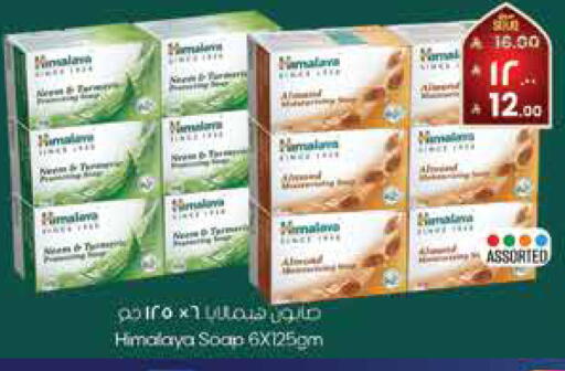 available at City Flower in KSA, Saudi Arabia, Saudi - Sakaka