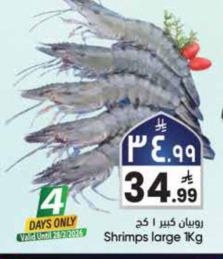 available at City Flower in KSA, Saudi Arabia, Saudi - Hail