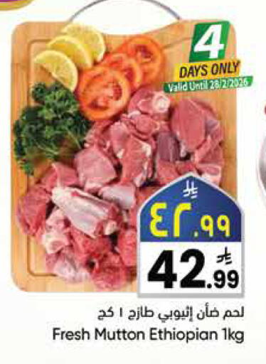 available at City Flower in KSA, Saudi Arabia, Saudi - Jubail