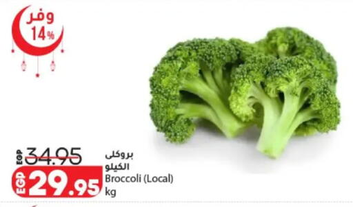 Broccoli available at لولو هايبرماركت in Egypt - القاهرة